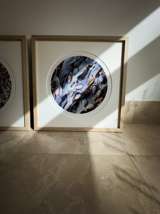 Hafgróður / Ocean Veins