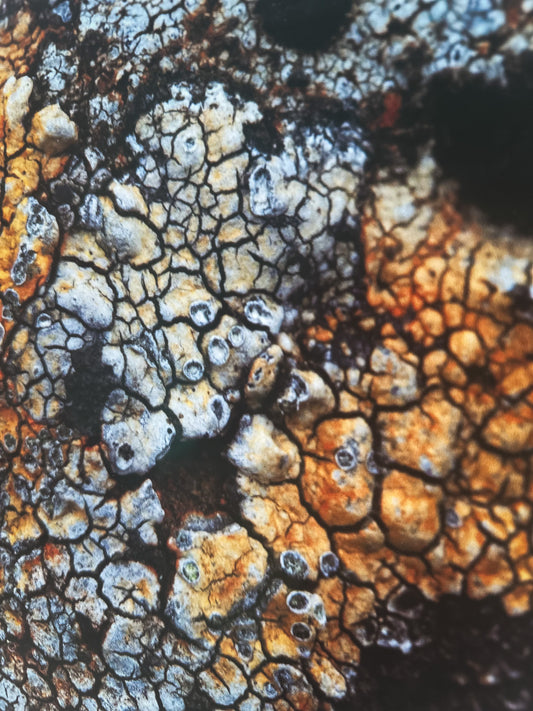 Hulduhringir / Hidden Circles