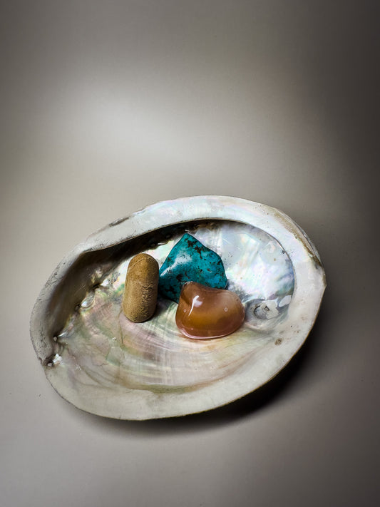 Ocean Spirit – Natural Abalone Shell -large (1 piece)