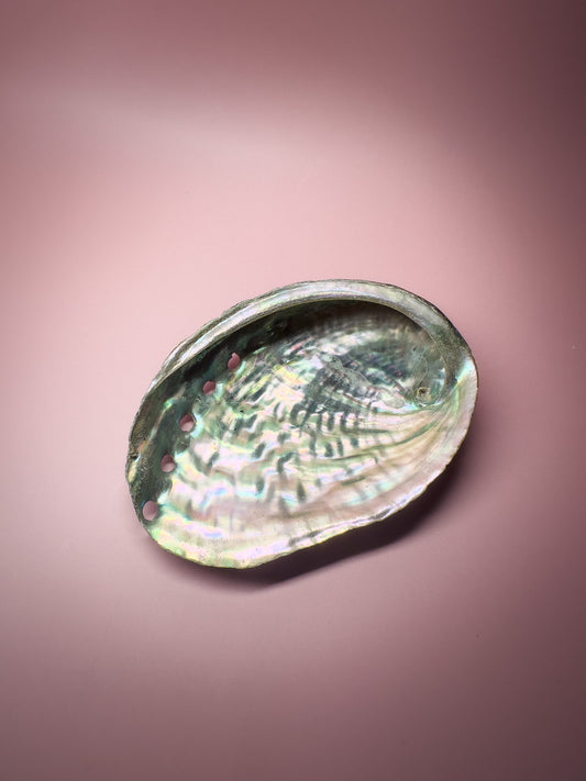 Ocean Spirit – Natural Abalone Shell -small (1 piece)