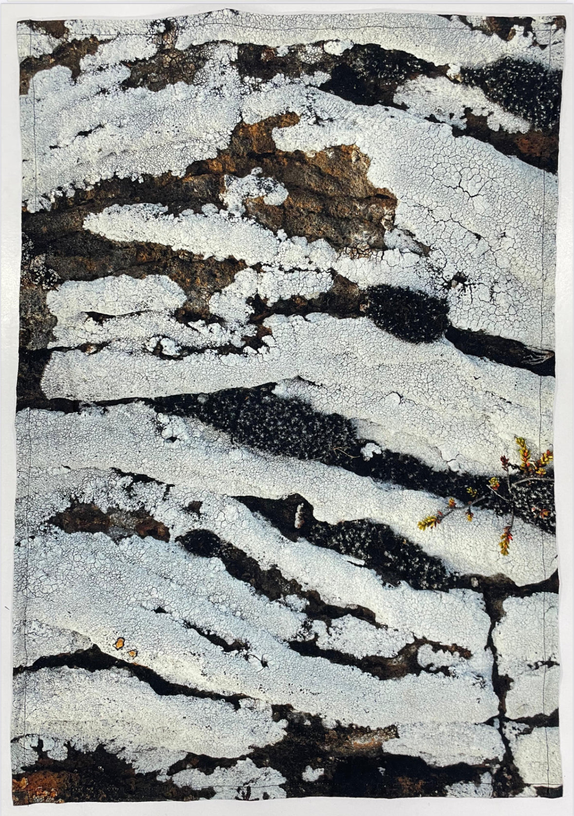Ofið landslag / Woven Landscape – Tea Towel Bundle Buy 4, Get 5