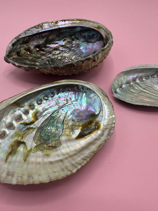 Ocean Spirit – Natural Abalone Shell -3 sizes