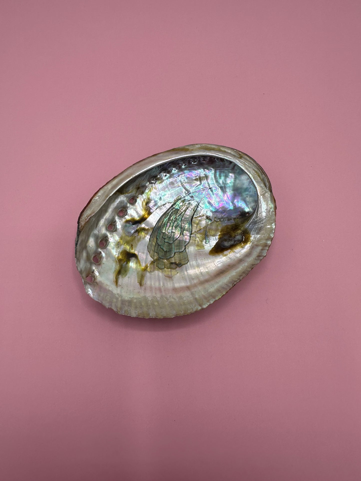 Ocean Spirit – Natural Abalone Shell -3 sizes