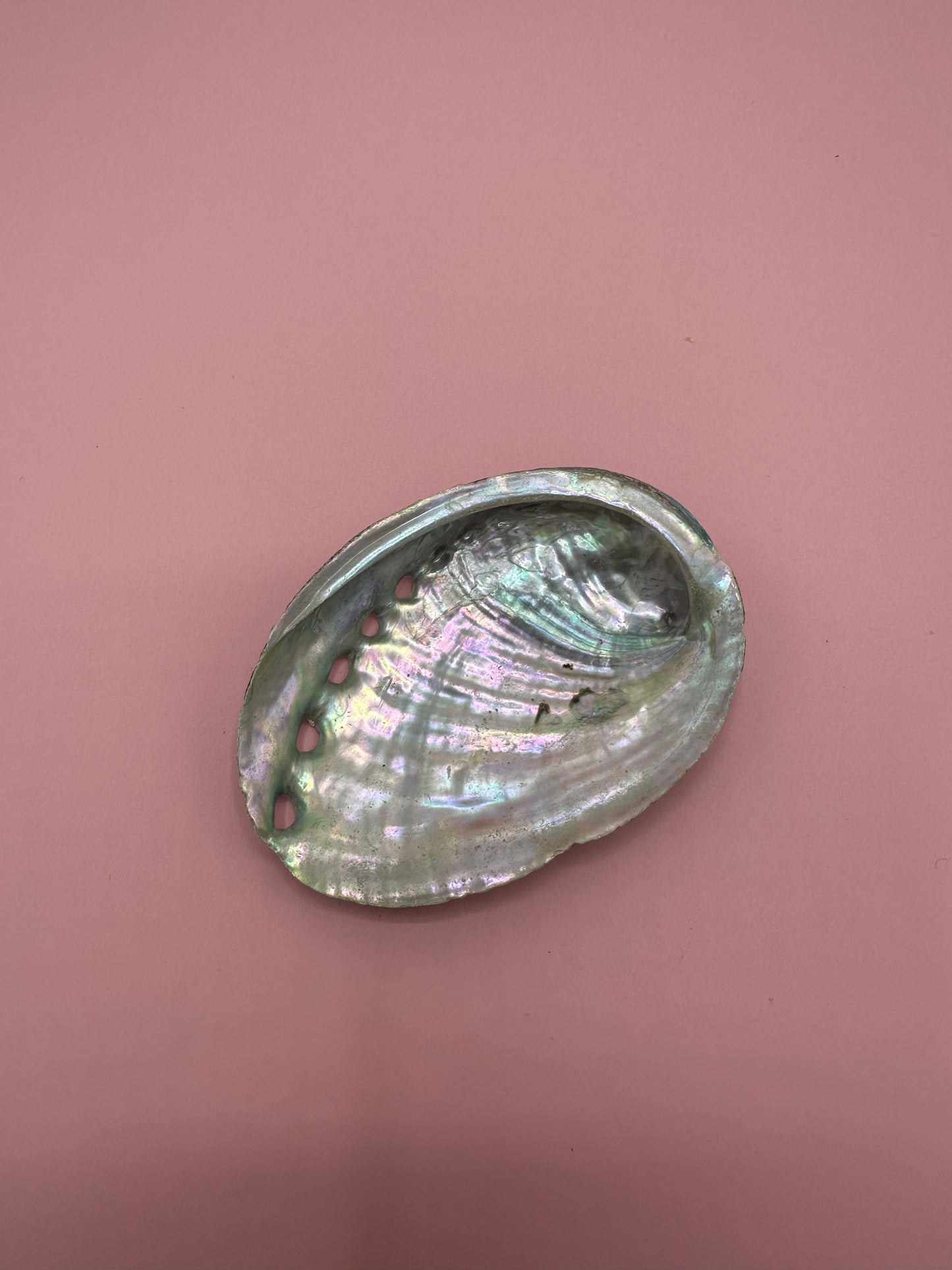 Ocean Spirit – Natural Abalone Shell -3 sizes