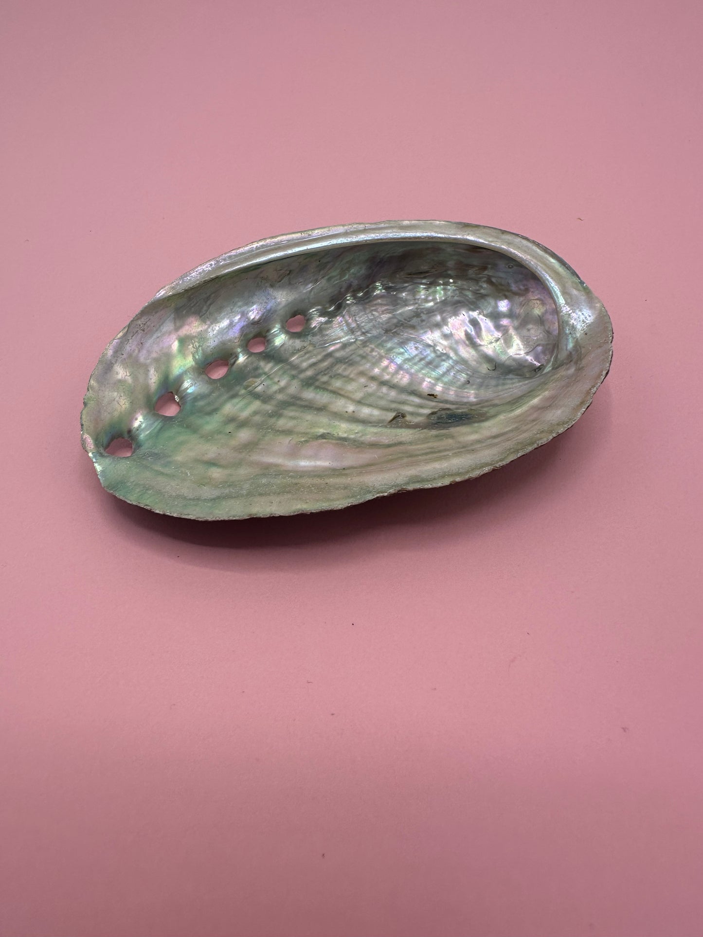 Ocean Spirit – Natural Abalone Shell -3 sizes