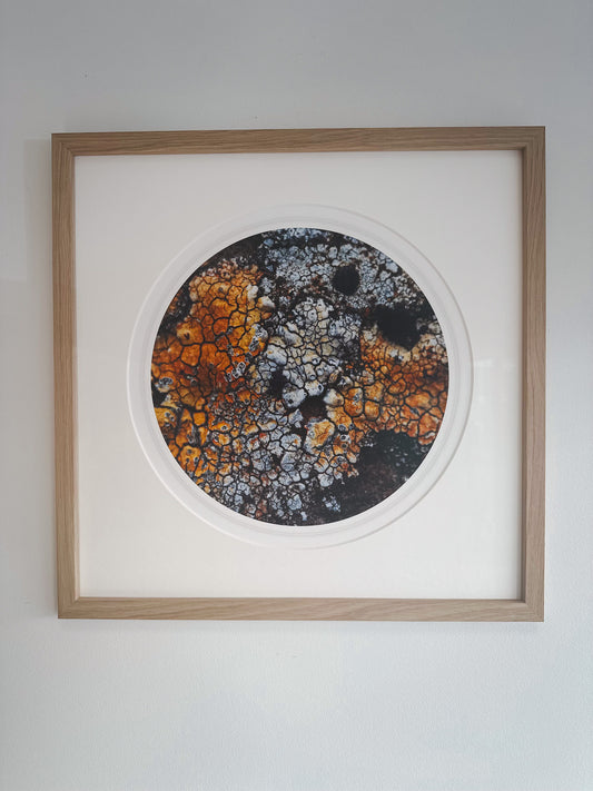 Hulduhringir / Hidden Circles