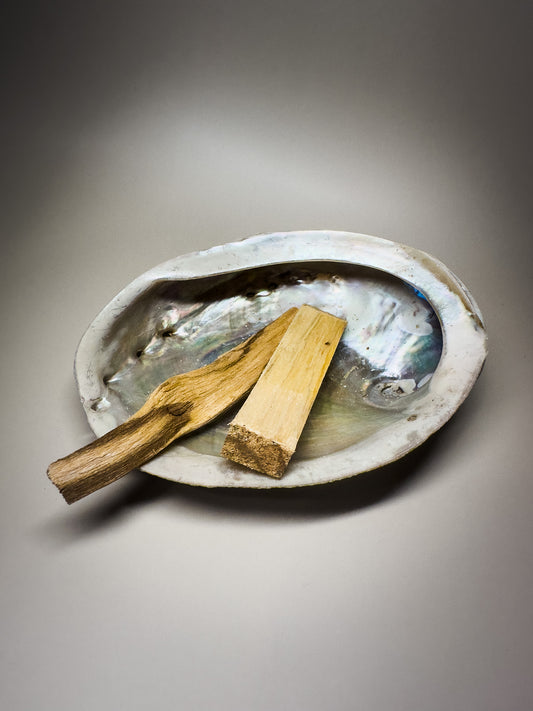 Ocean Spirit – Natural Abalone Shell -large (1 piece)