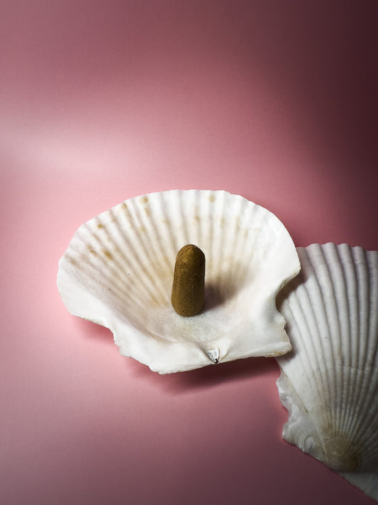 Sacred Shell – Ritual Offering Vessel (1 piece)