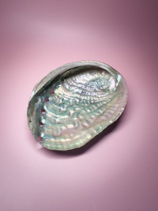 Ocean Spirit – Natural Abalone Shell -small (1 piece)