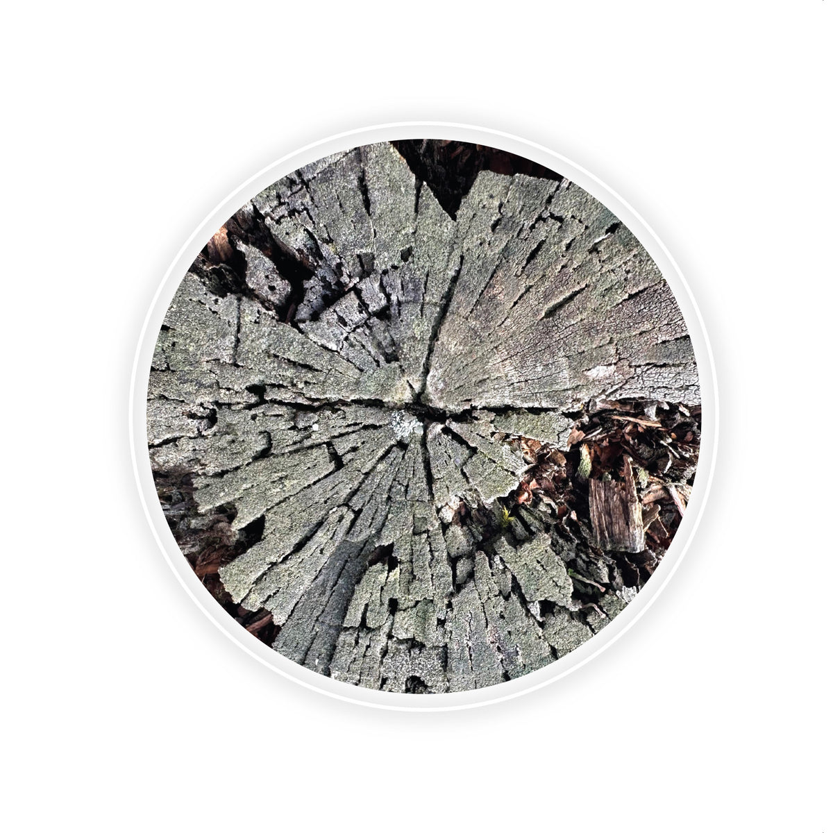 Hringir – Circles gjafakort