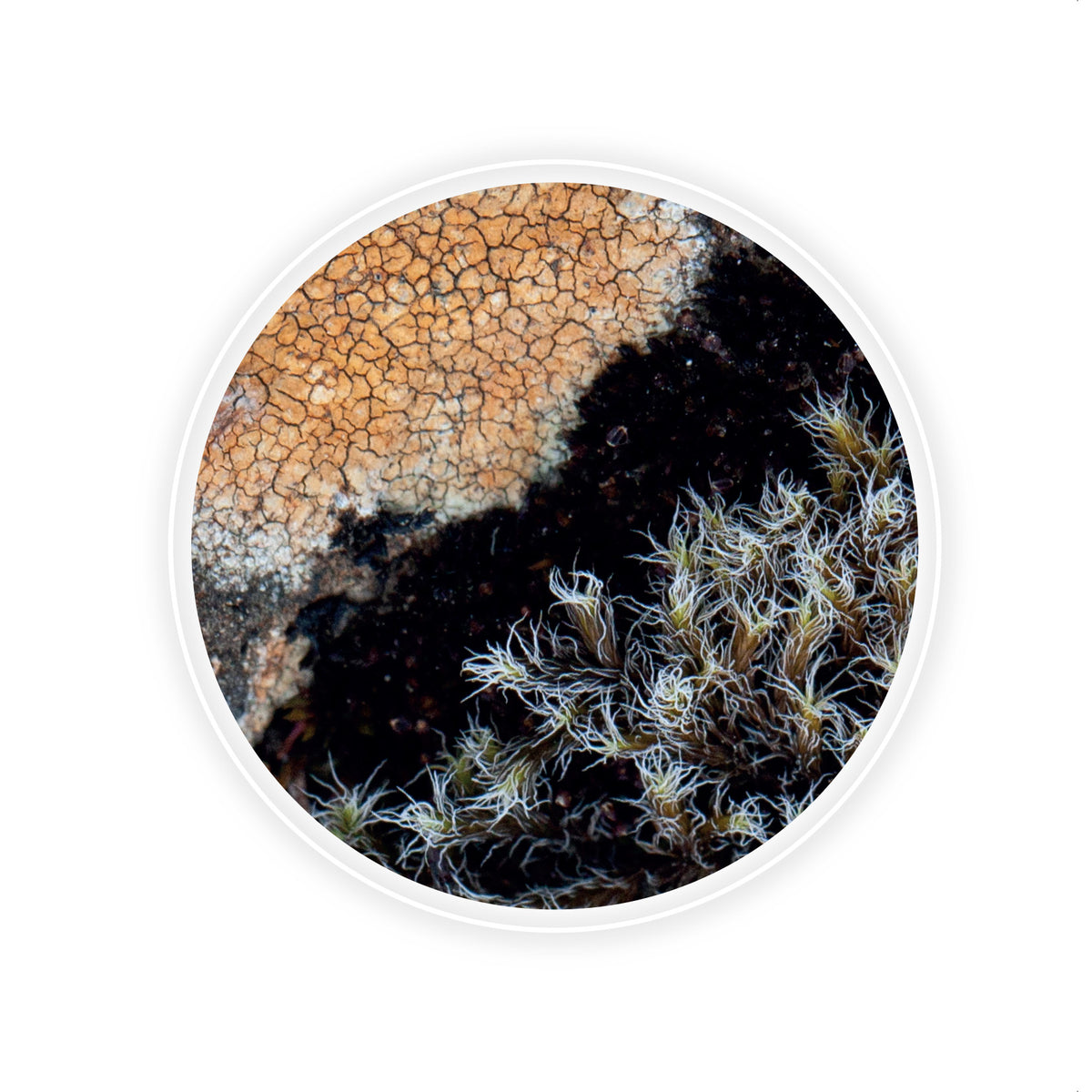 Hringir – Circles gjafakort