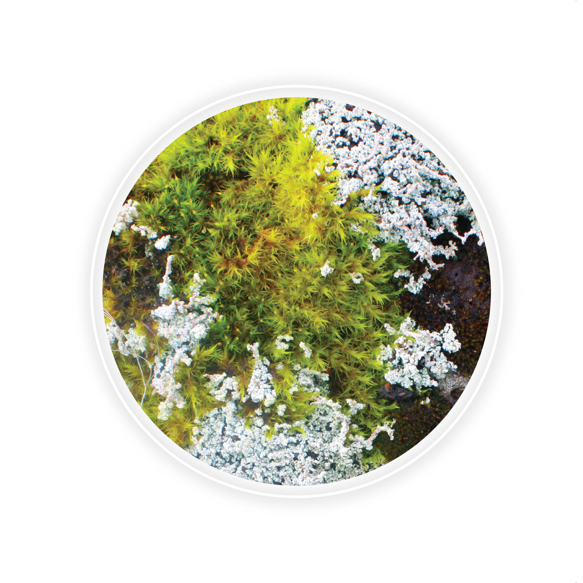 Hringir – Circles gjafakort